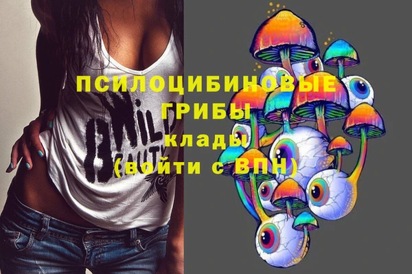 таблы Горняк