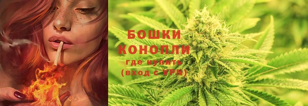 не бодяженный Билибино