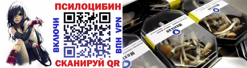Псилоцибиновые грибы мицелий  наркотики  блэк спрут ССЫЛКА  Камешково 